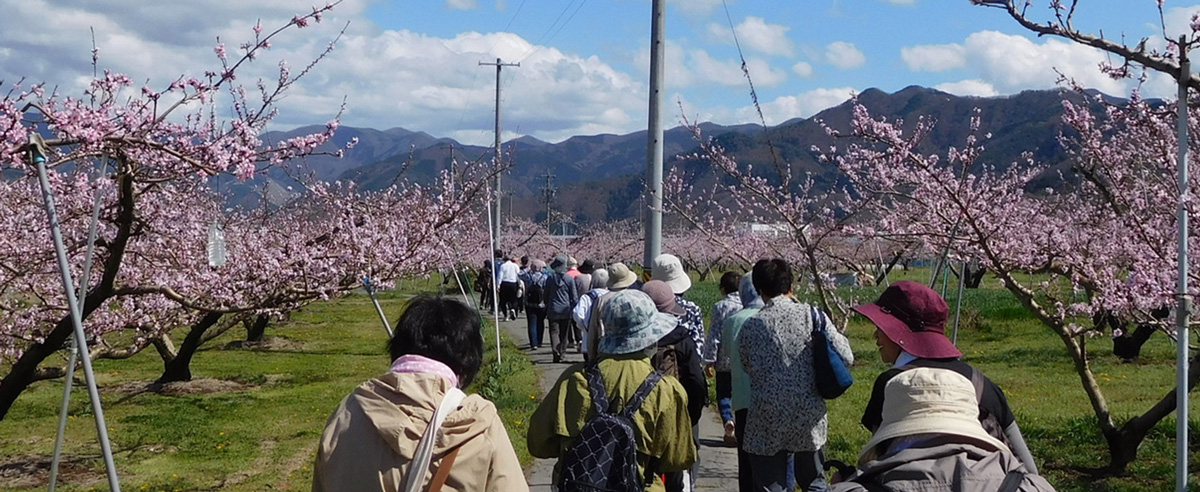 快晴のもと